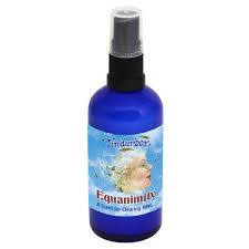 Equanimity Clearing Spray 100ml Tinderbox - Broome Natural Wellness